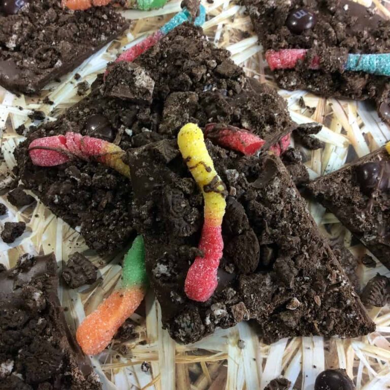 DIRT WORM BARK RECIPE DINE DREAM DISCOVER