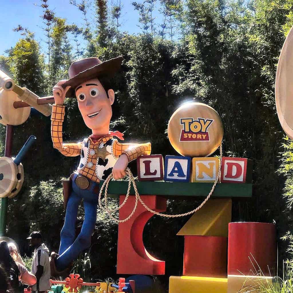 toy story land