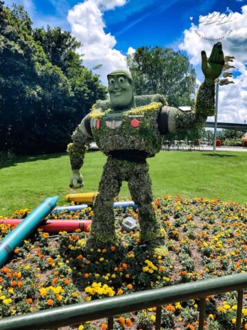 epcot flower and garden