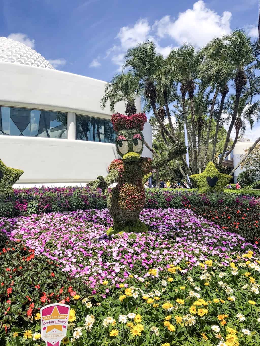 Daisy Duck made from Gerbera Daisies