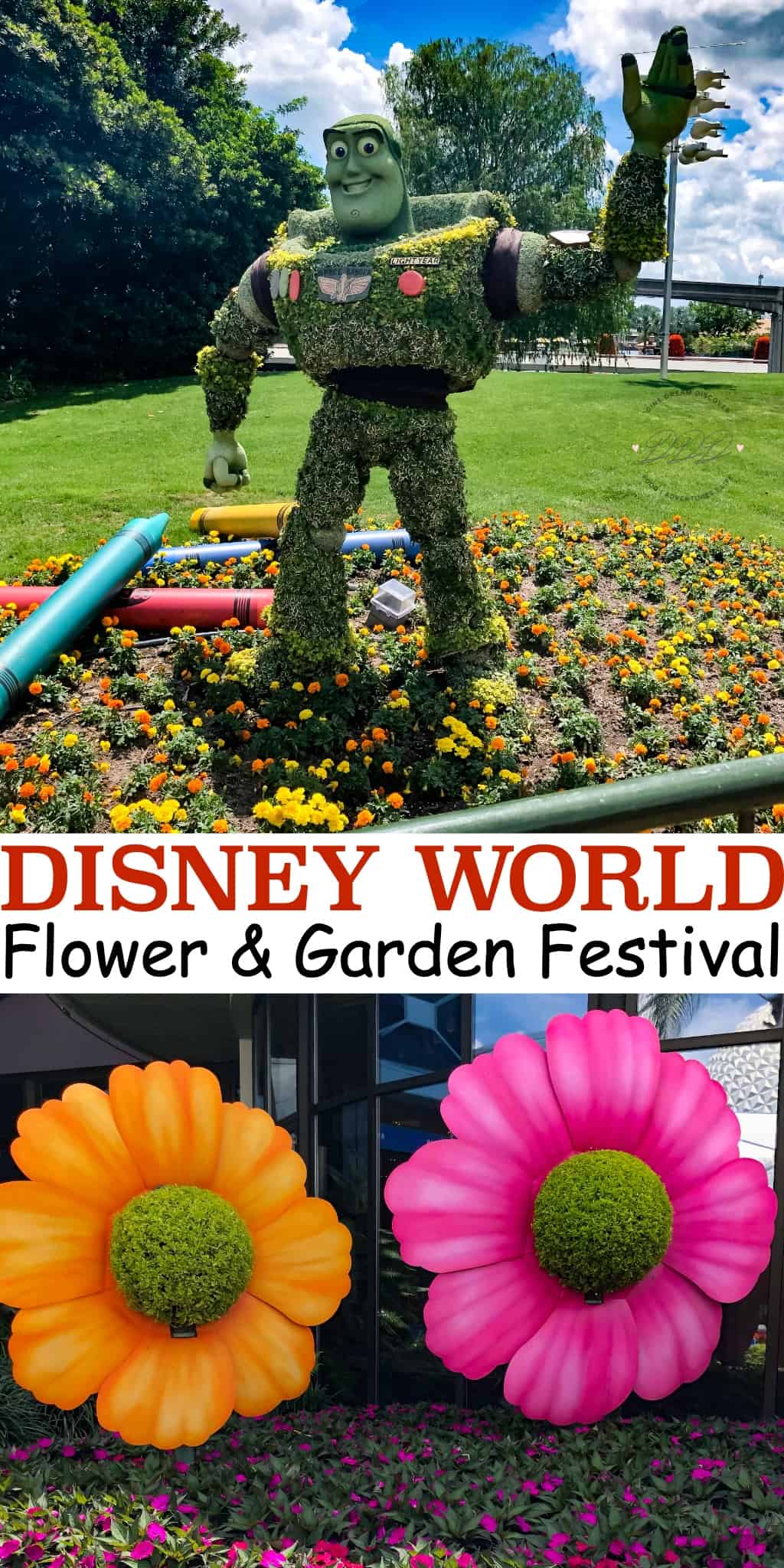 Flower-and-Garden-Festival