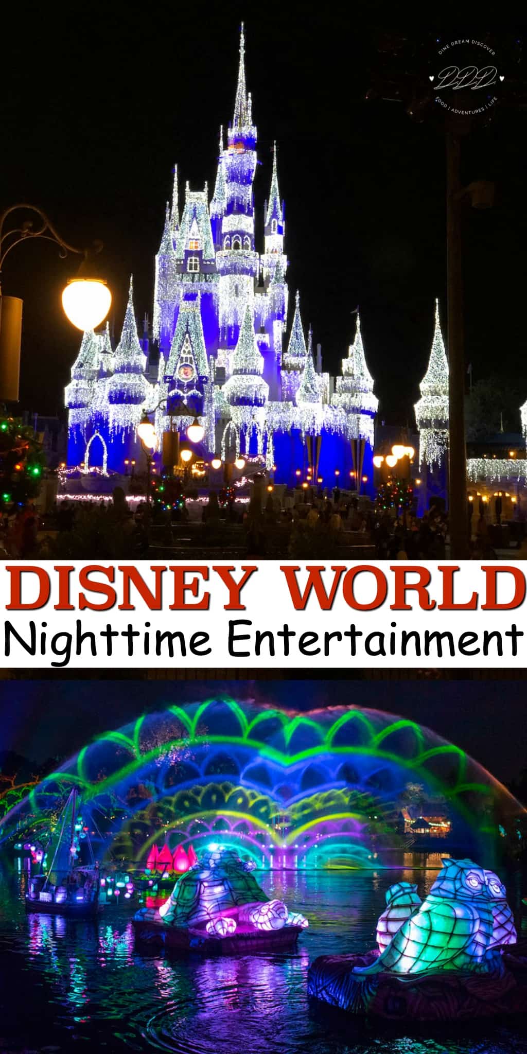 Disney World Nighttime Entertainment