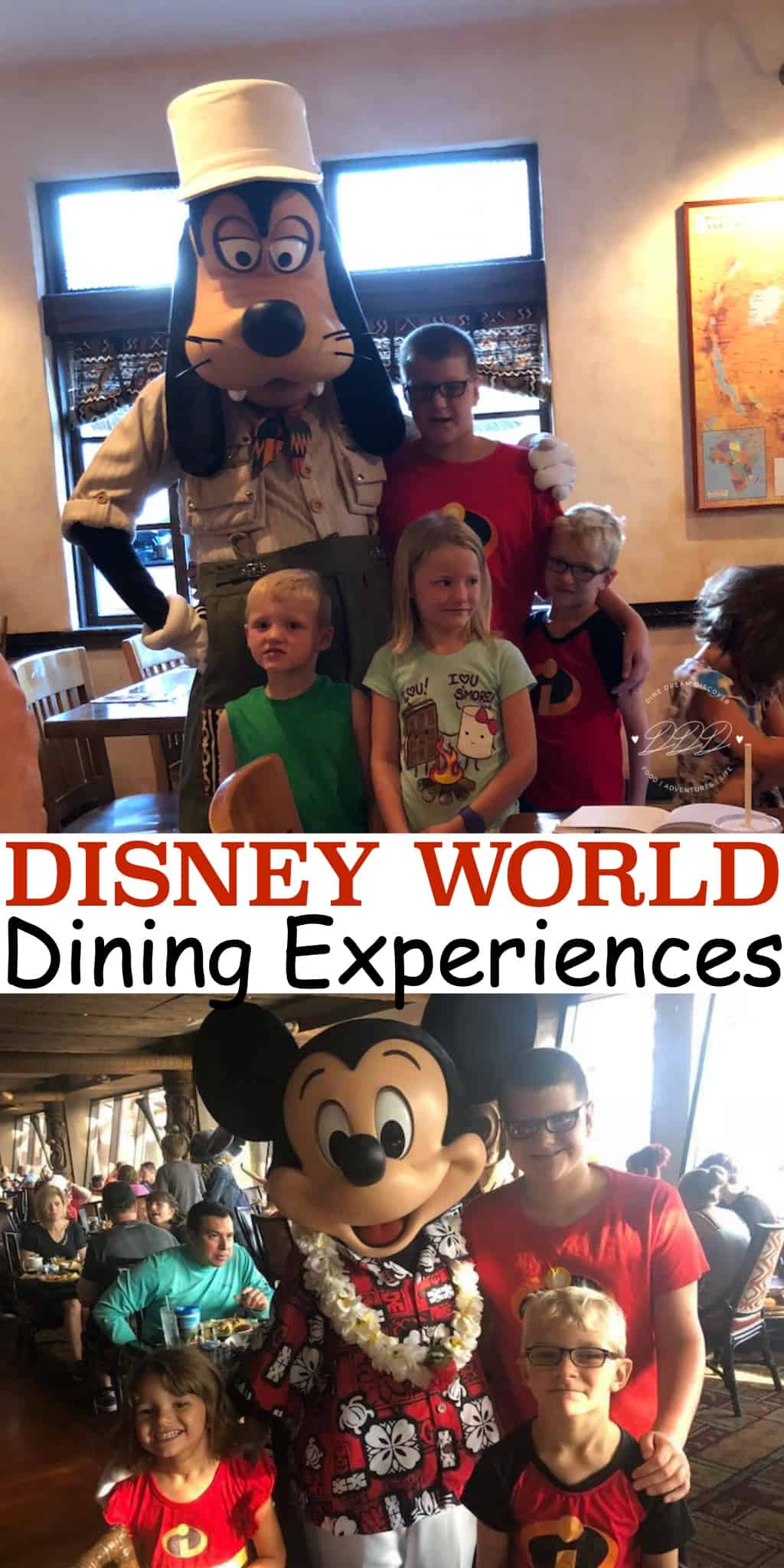 There are so many dining experiences at Disney World Parks whether it is a quick service dining trip, formal sit down dining, or even Character meals. #DineDreamDiscover #JustPlumCrazy #DisneyNewswire #TravelBlogger #Travel #Disney #DIsneyparks #disneyworld #Disneyland @WaltDisneyWorld #DisneySMC #RV #FullTimeRV #rvliving #rvlifestyle #GoRVing #LoveFL There are so many dining experiences at Disney World Parks whether it is a quick service dining trip, formal sit down dining, or even Character meals.