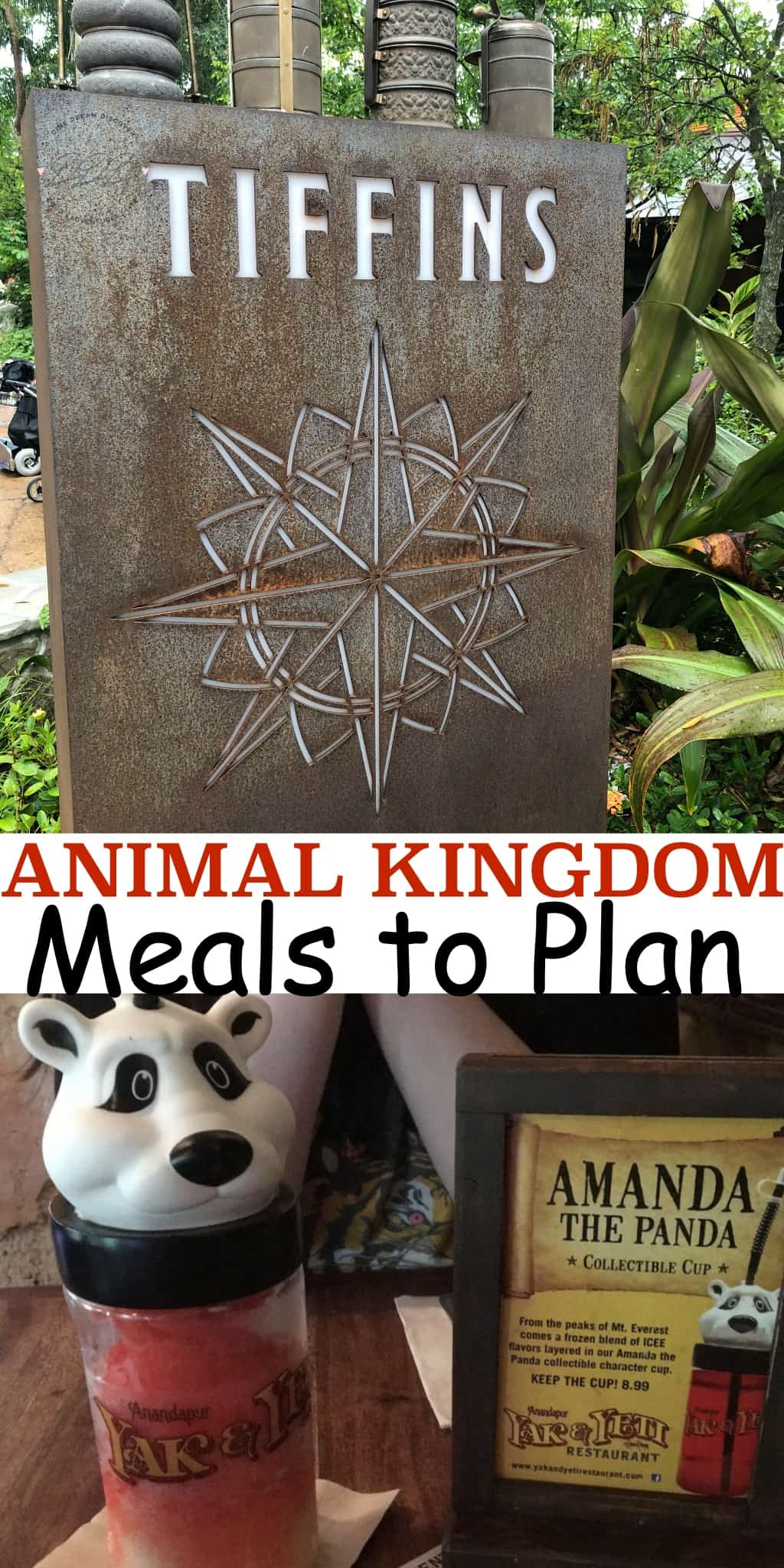 Plot out your your meals as tent poles, then fill in Fastpasses and other activities. Here are the best Animal Kingdom meals throughout your day.