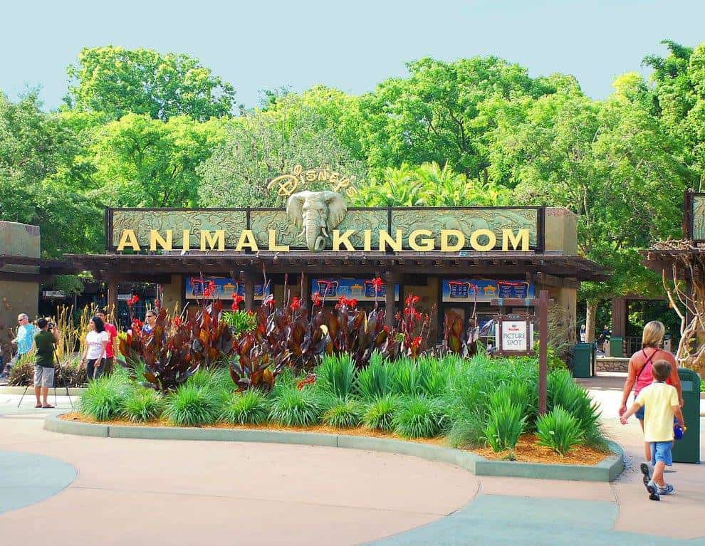Plot out your your meals as tent poles, then fill in Fastpasses and other activities. Here are the best Animal Kingdom meals throughout your day.