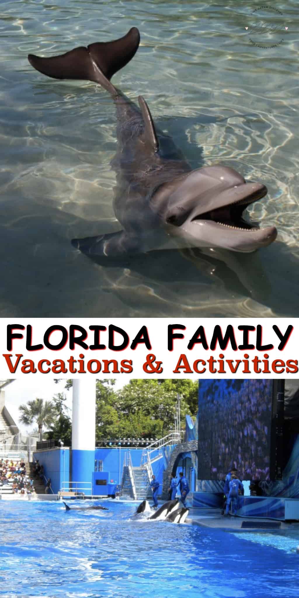 Some of the most exciting Florida Family Vacations And Activities include sightseeing, beaches, water sports, amusement parks and more. 