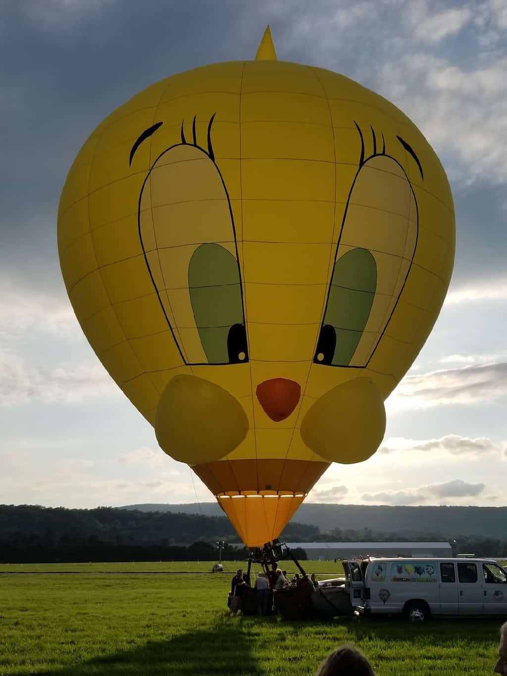 hot air balloon