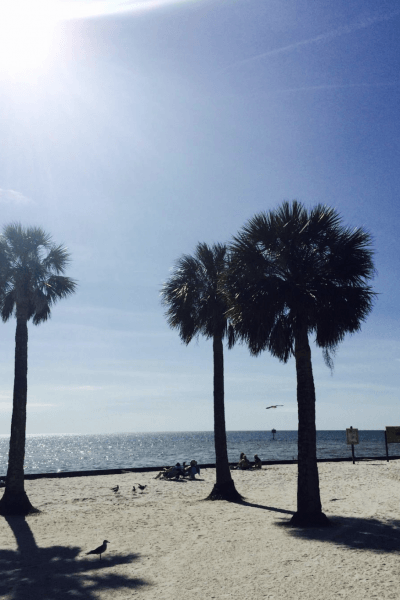With only a little effort you can kick the sand from your shoes and visit some of Florida's most interesting Gulf Islands or explore wilderness areas that have been left virtually untouched by the ravages of time.