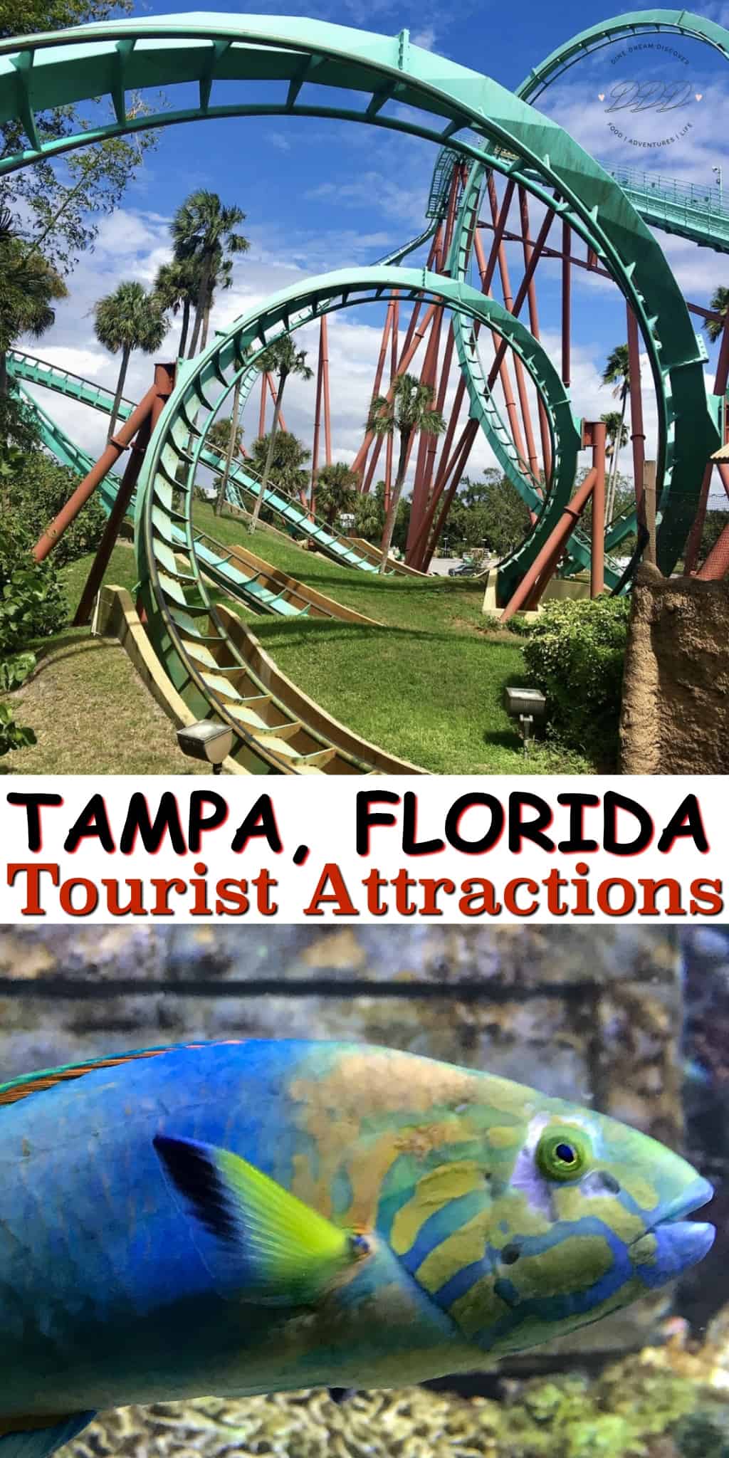 Tampa, Florida Tourist Attractions offers something for everyone From museums and theme parks to a fantastic nightlife, Tampa has it all.