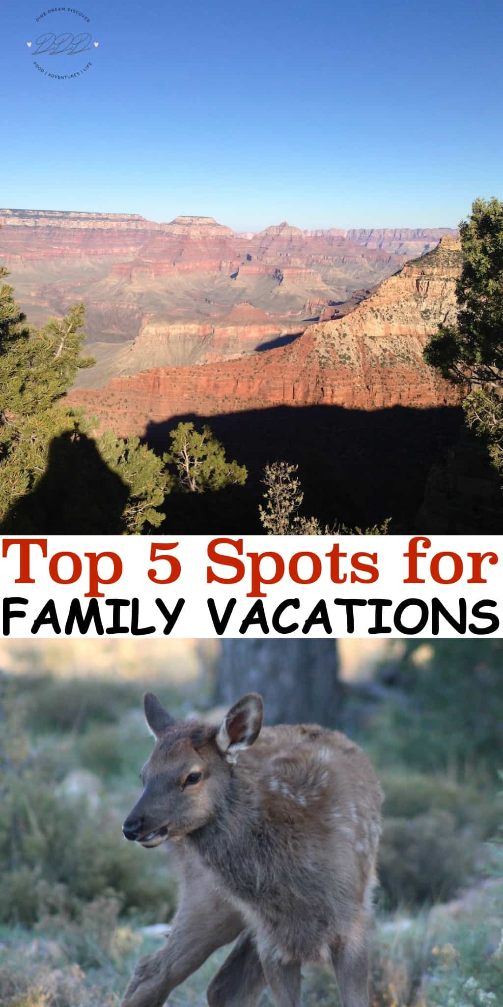 There are so many great places to take your kids on vacation that narrowing it down to five Family vacations is going to be difficult.