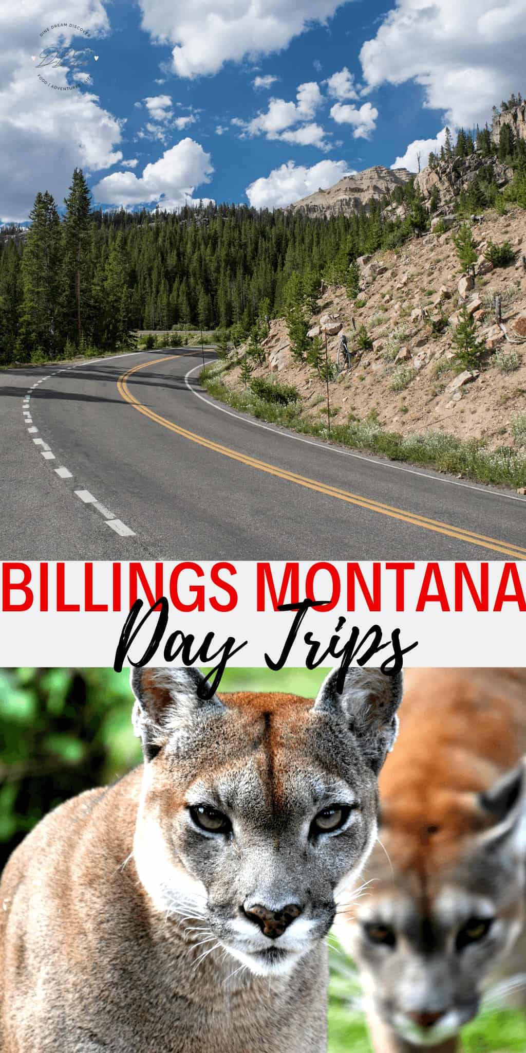 Perfectly situated, Billings Montana day trips take you to out to nature as well as maybe spending a day taking in history and culture.