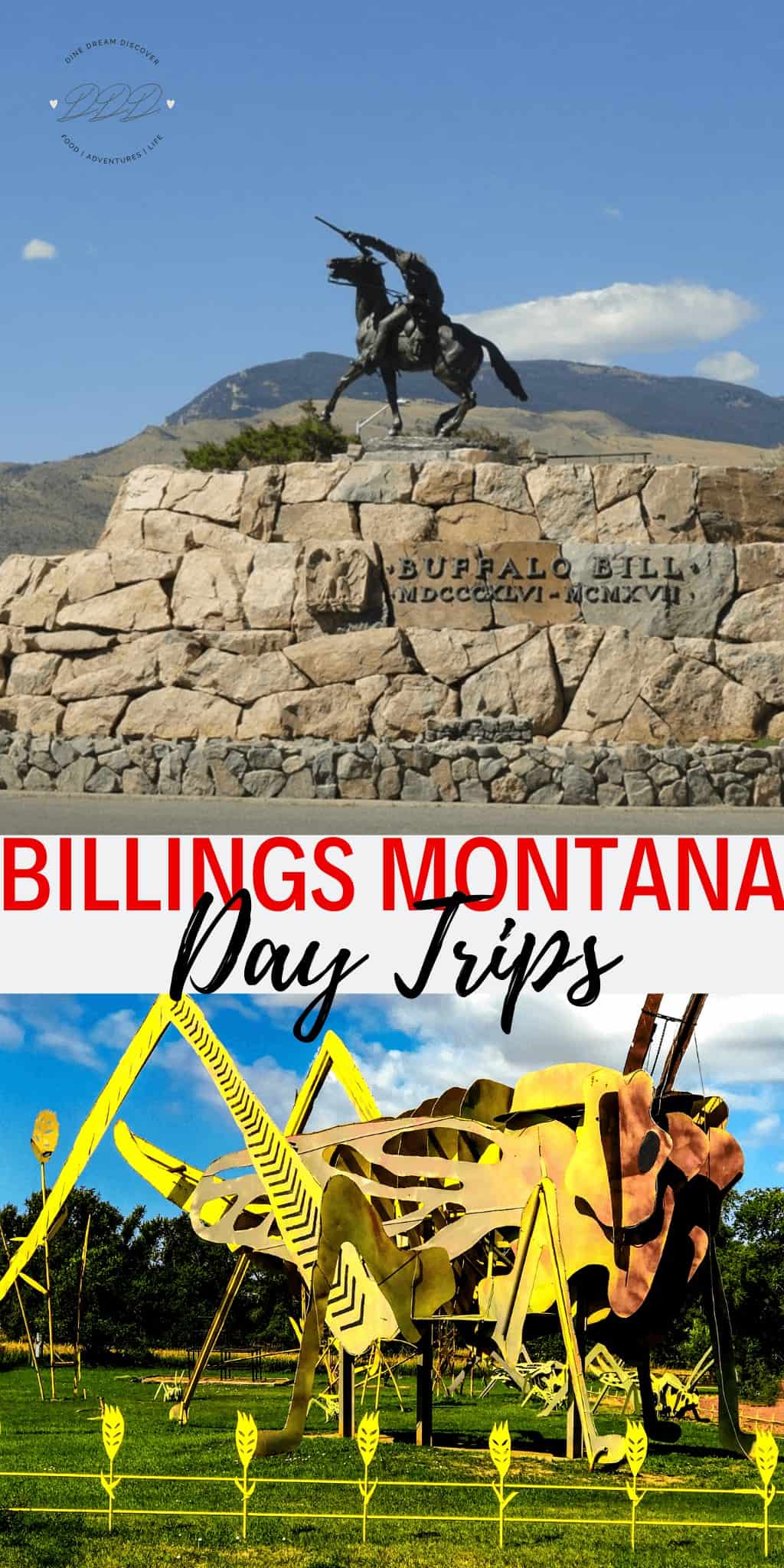 Perfectly situated, Billings Montana day trips take you to out to nature as well as maybe spending a day taking in history and culture.