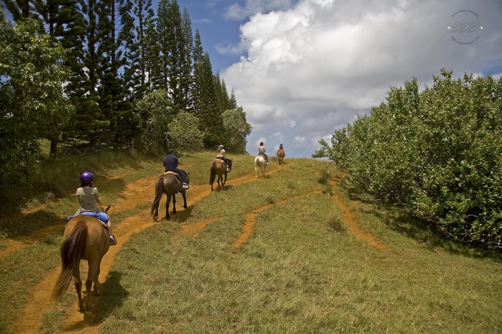 horseback riding