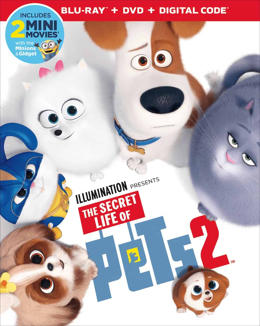 Max entrusts Gidget with his toy, Busy Bee, but ends up losing it. Snowball and Daisy try to rescue a Tiger cub from the circus in Secret Life of Pets 2.