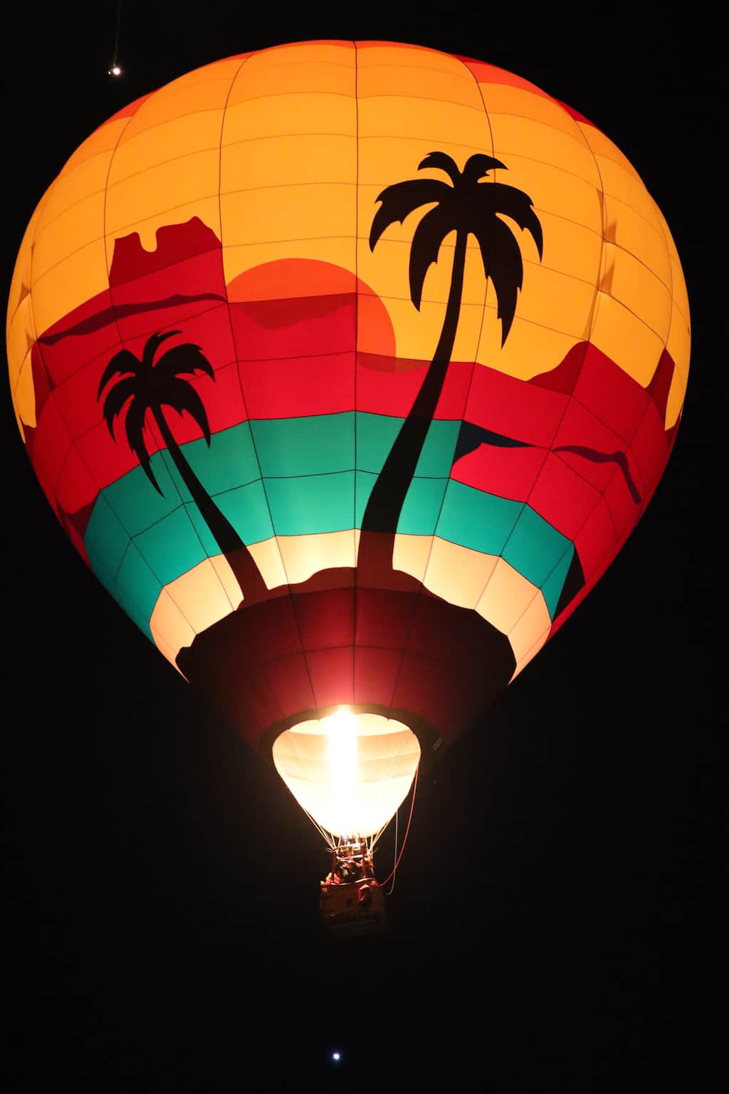 palm tree hot air balloon