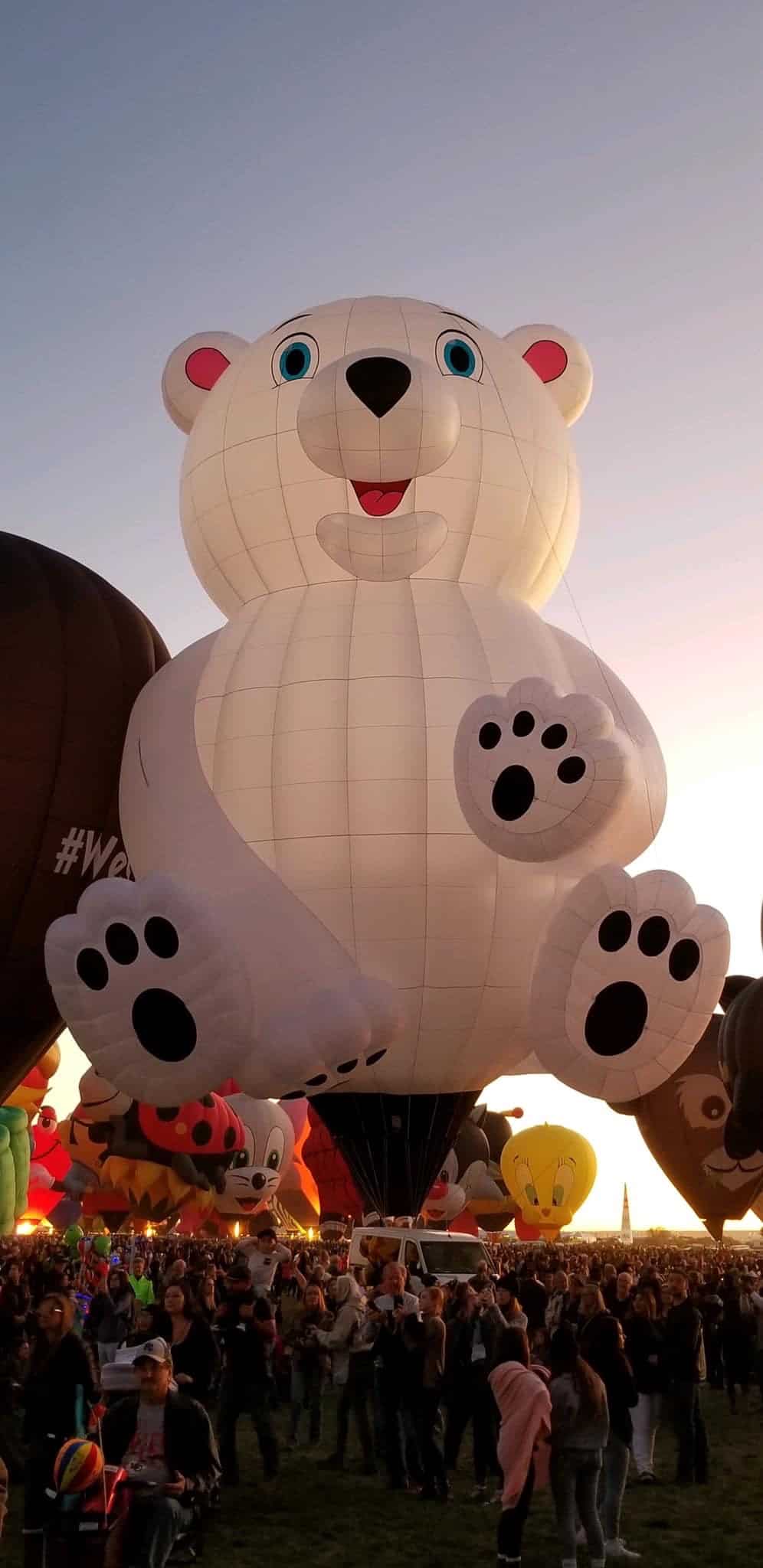 bear hot air balloon