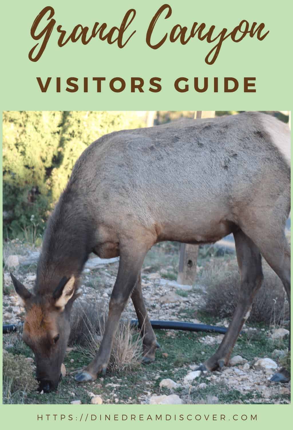 visitors guide 