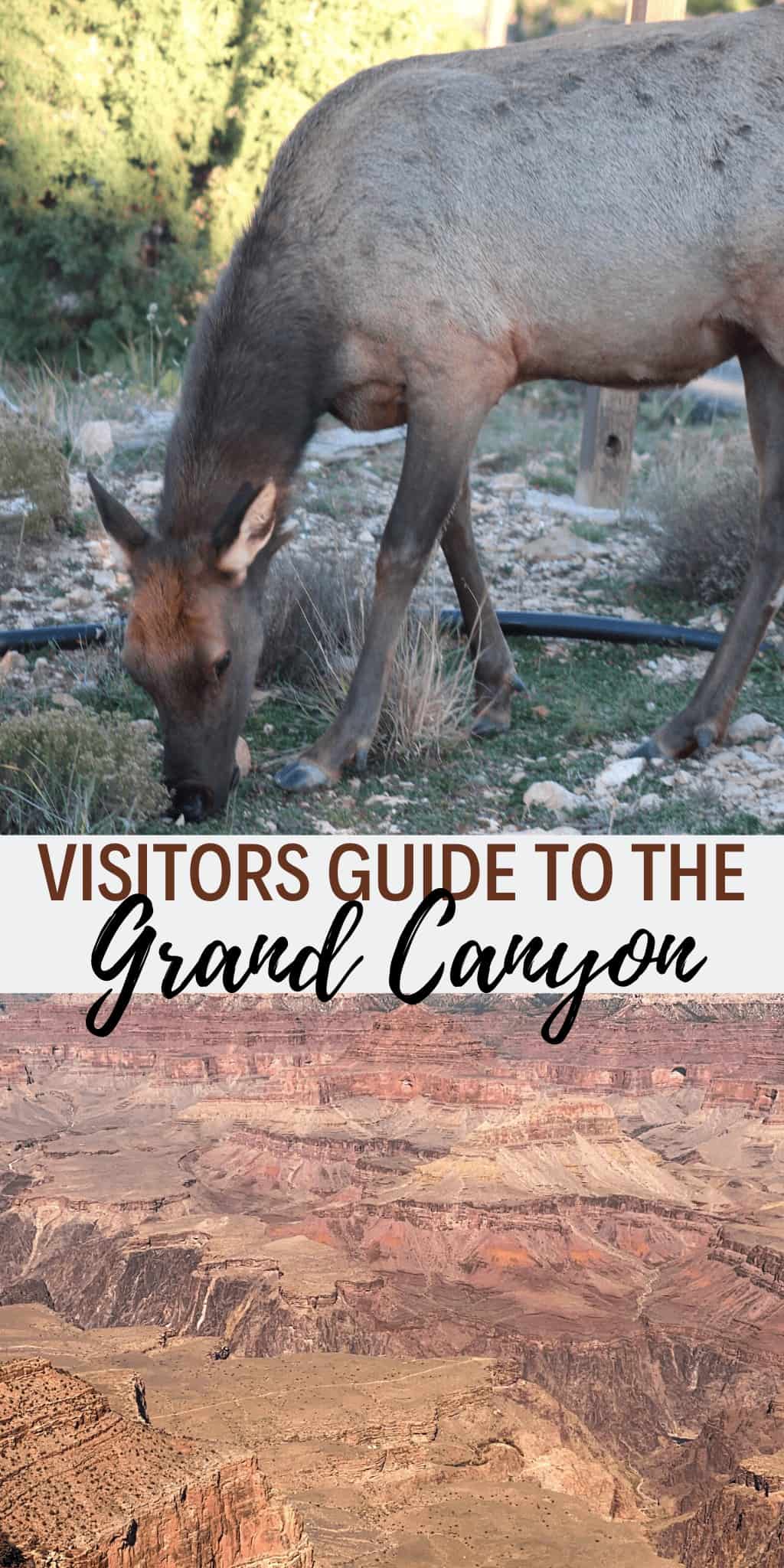 grand canyon visitors guide