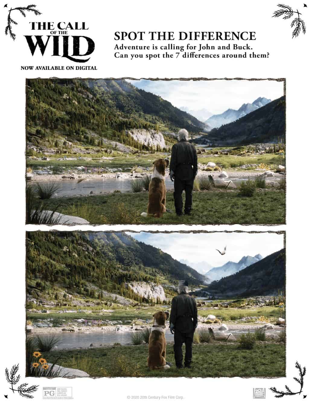 SPOT THE DIFFERENCE CALL OF THE WILD