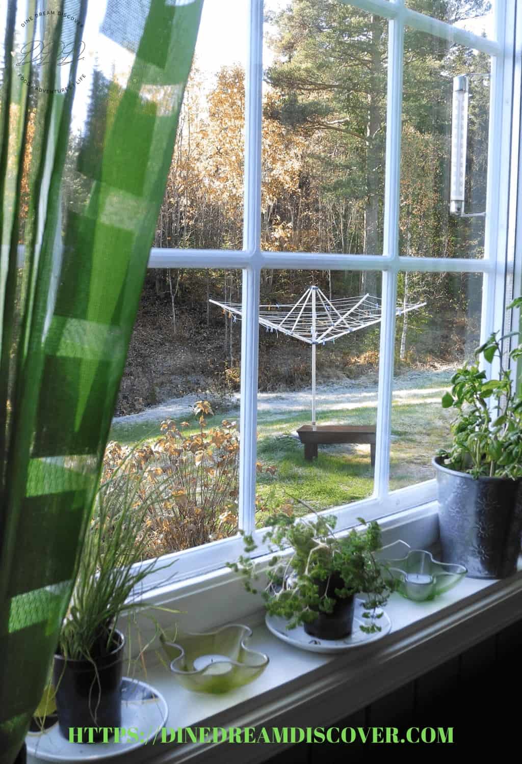 windowsill garden