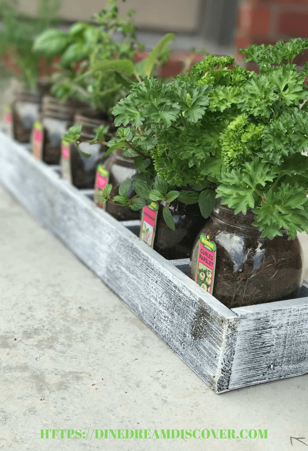 container herb garden