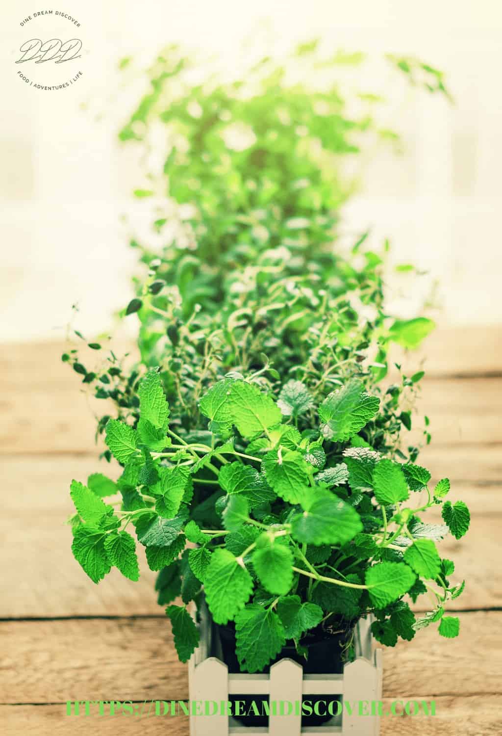 indoor herb garden