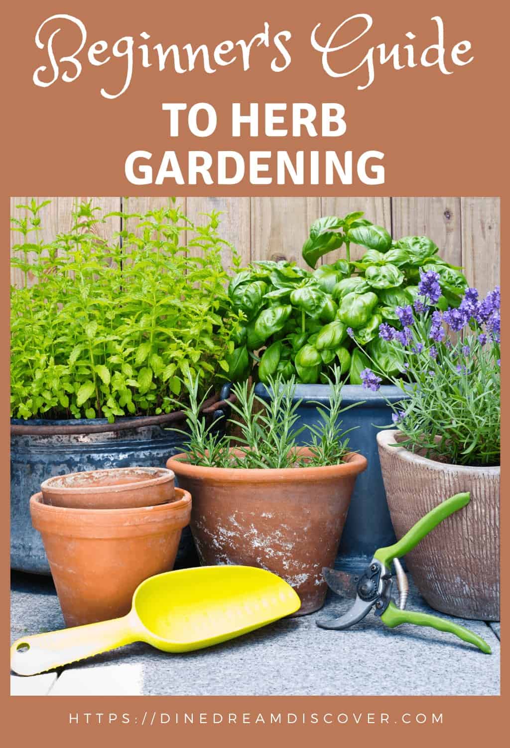 potted herbs