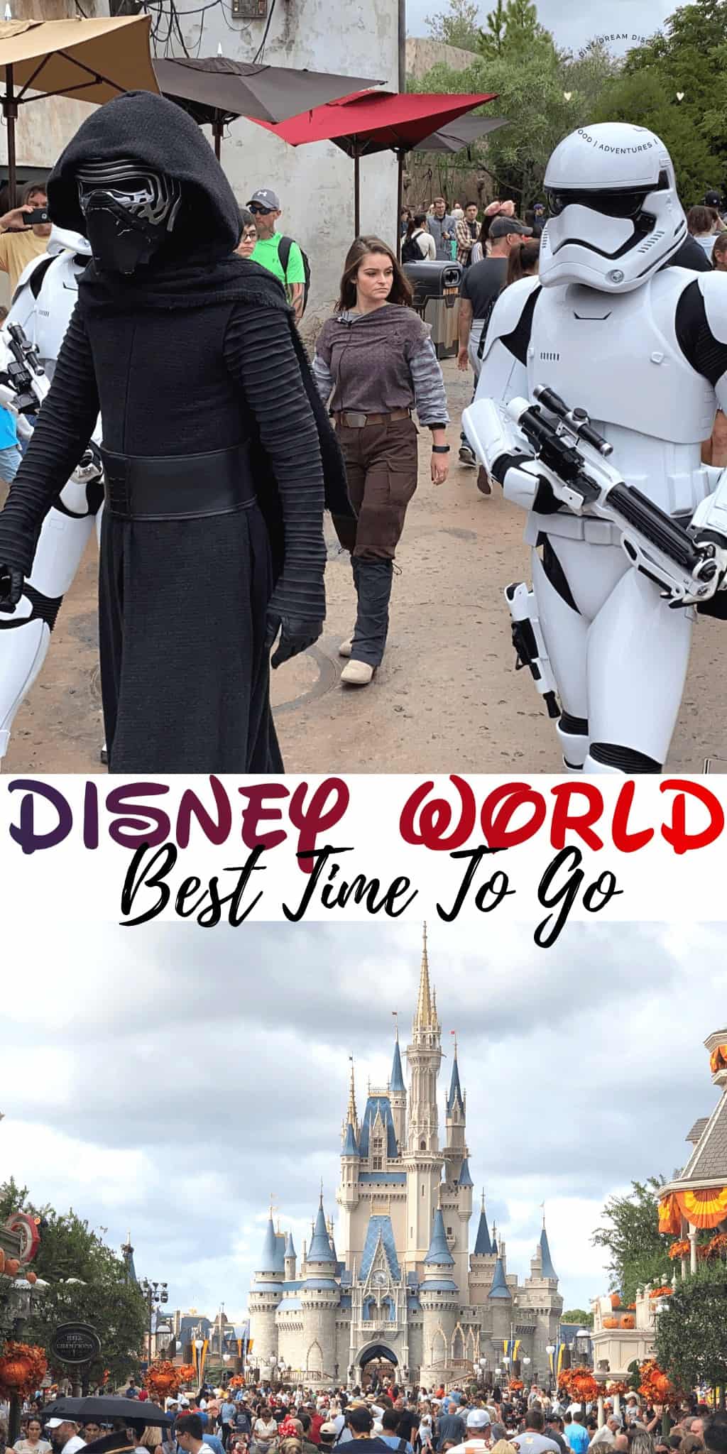 Best Time to Go to Disney World During the Year