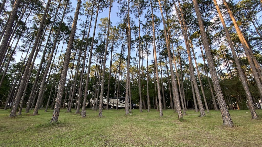 sand pond campground