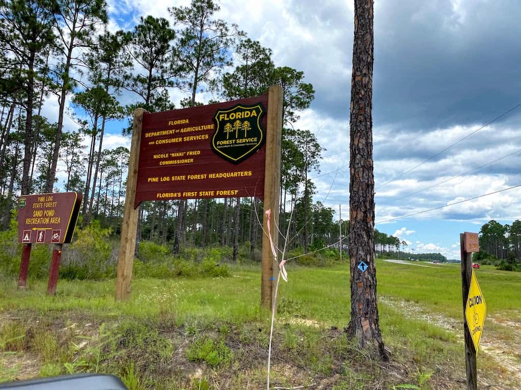 pine log state forest