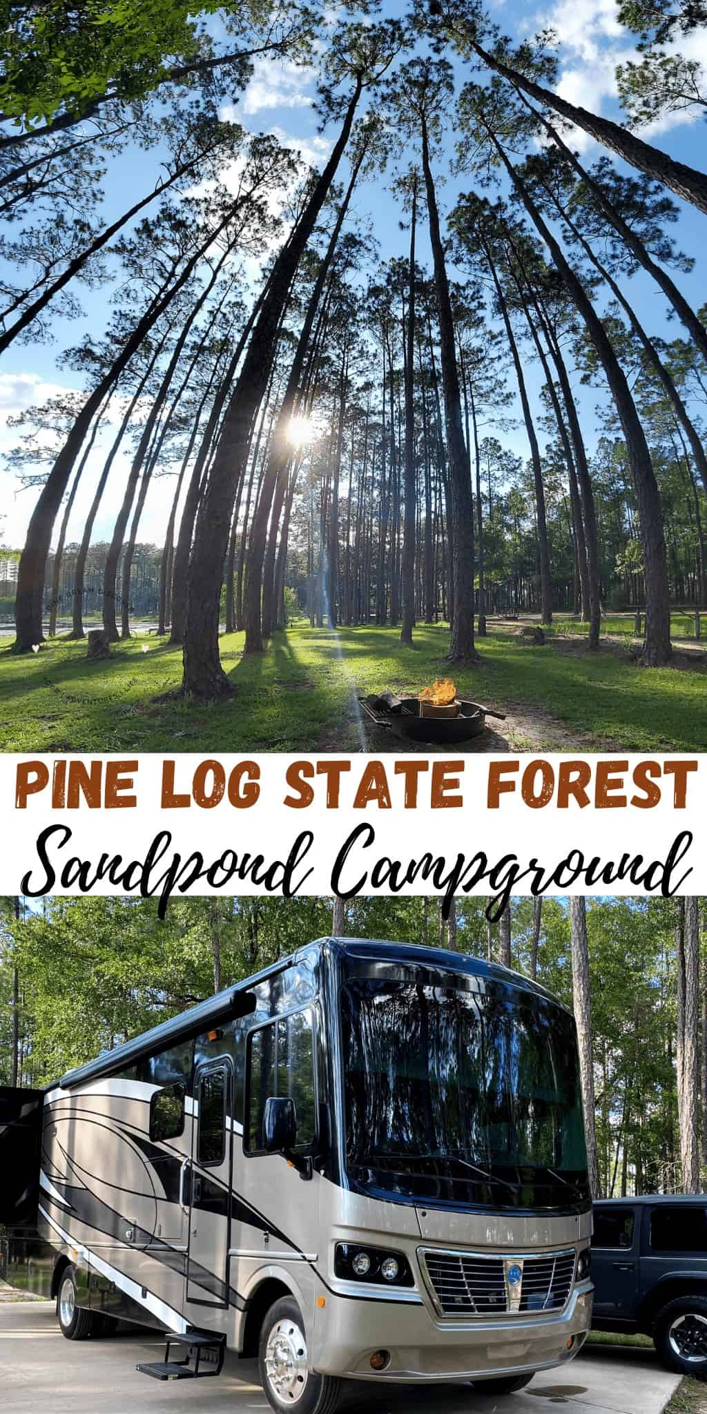 Sand Pond Campground - Pine Log State Forest