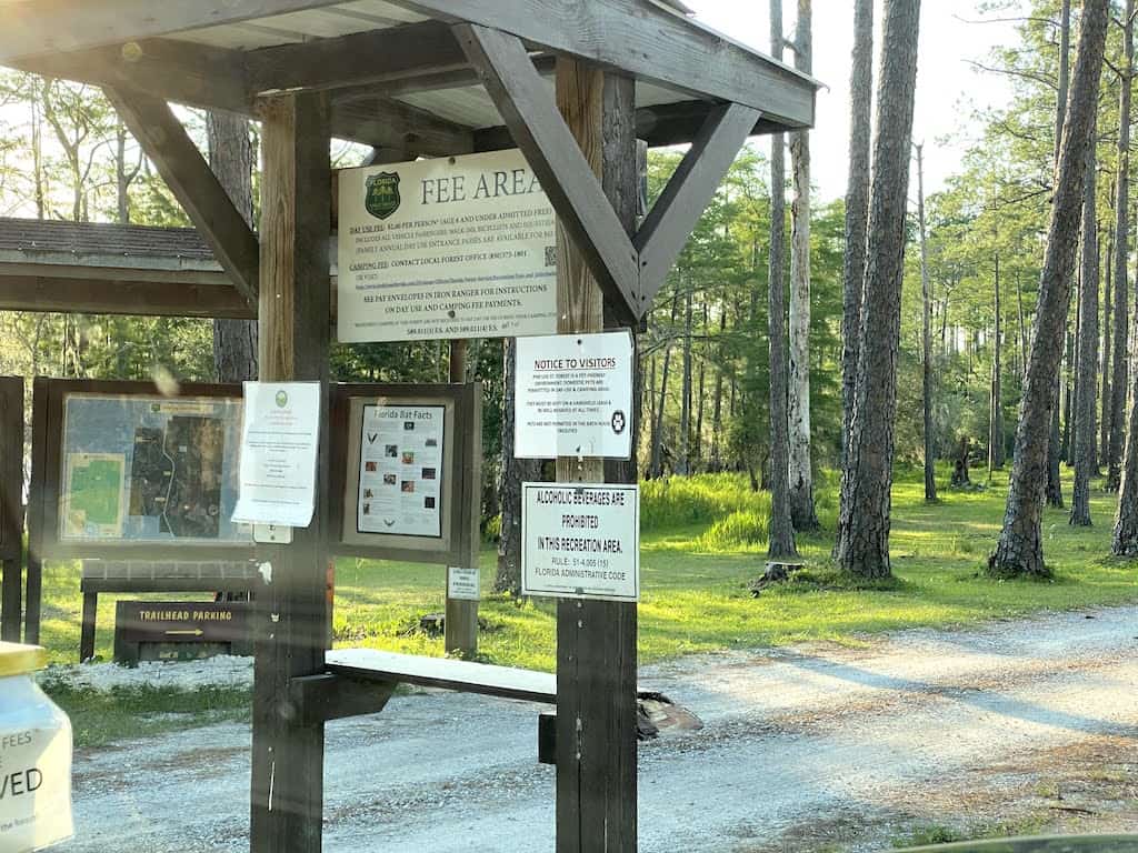 sand pond camping