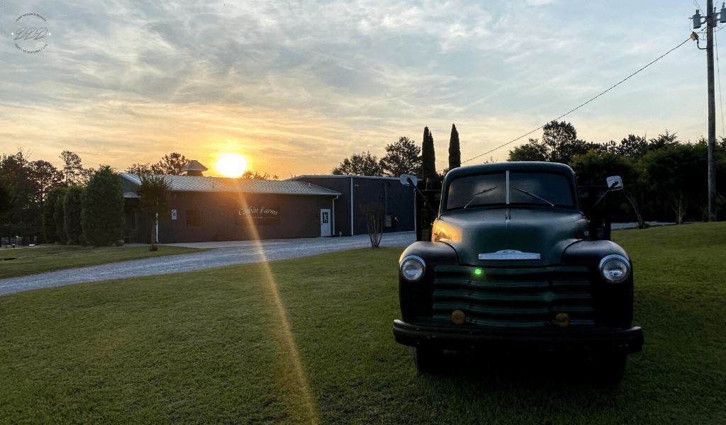 sunrise at corbin farms