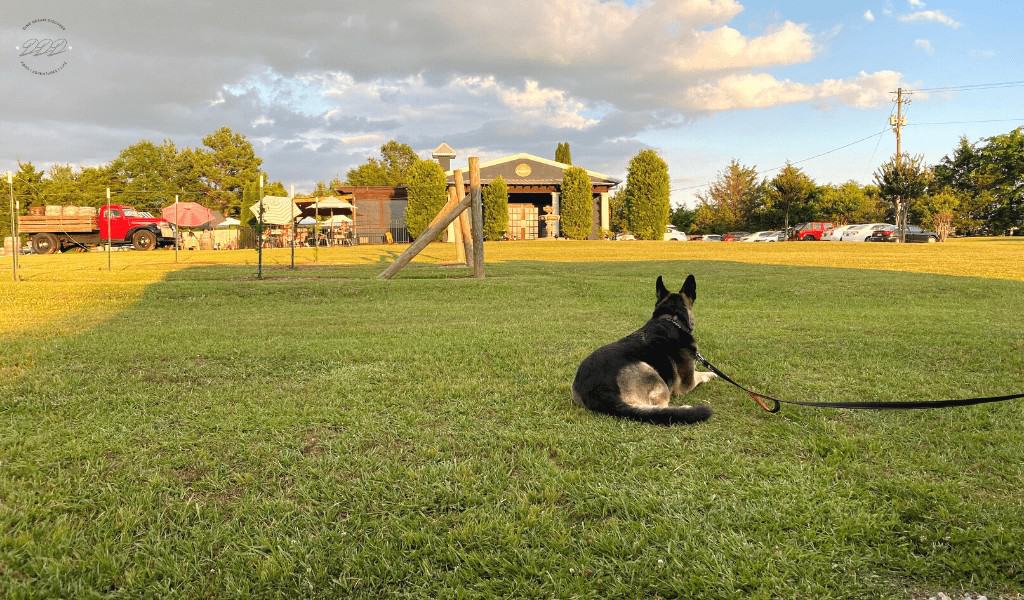 harley enjoying harvest host