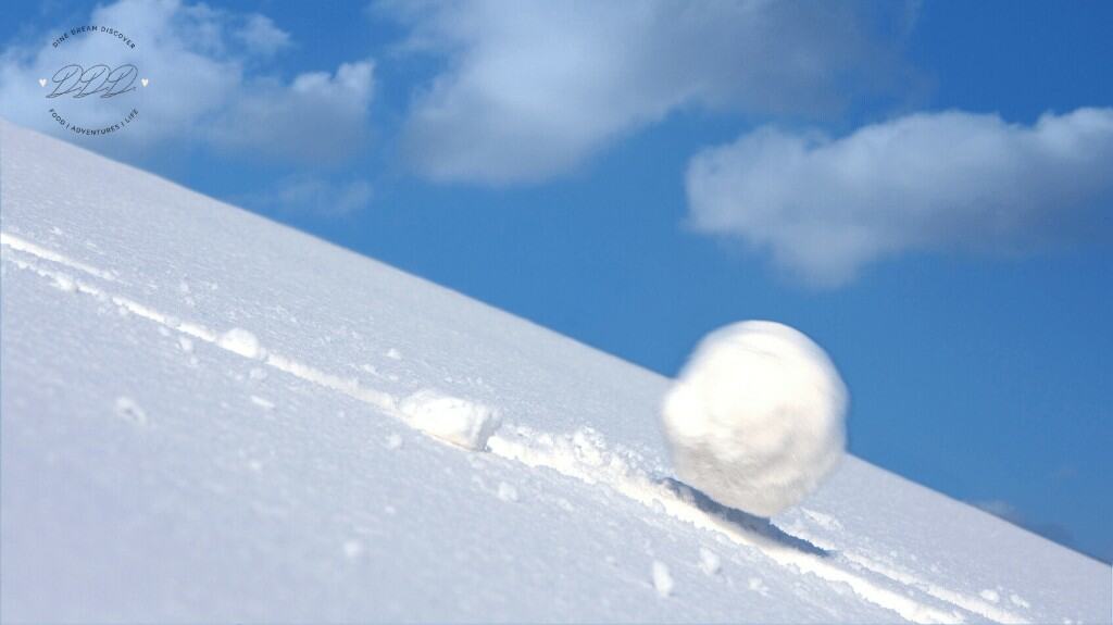 snowball debt