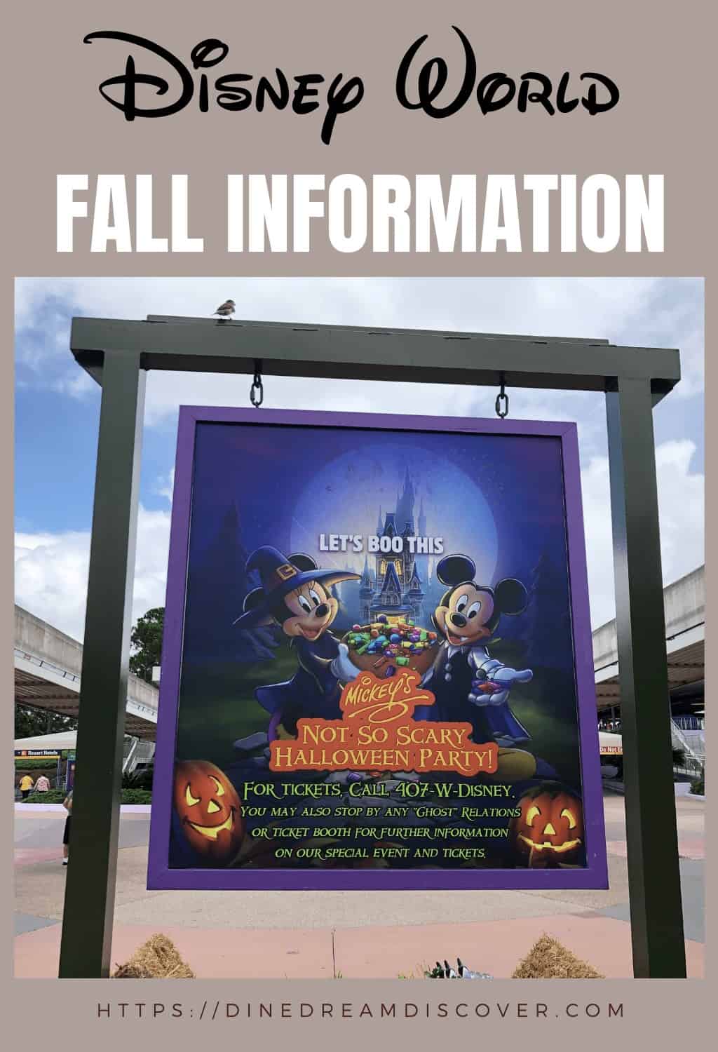 disney world halloween