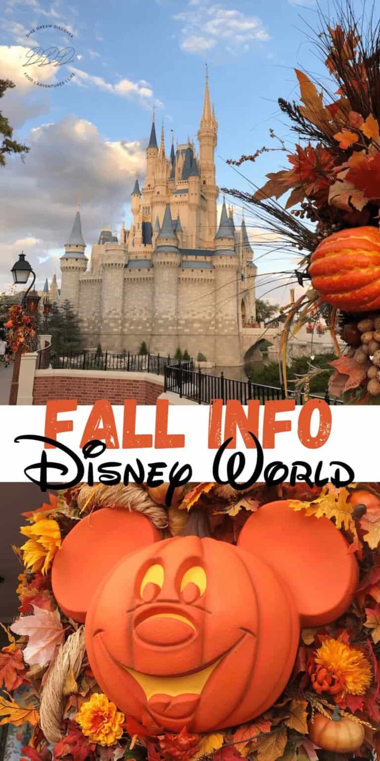 Fall Disney World Info 2024