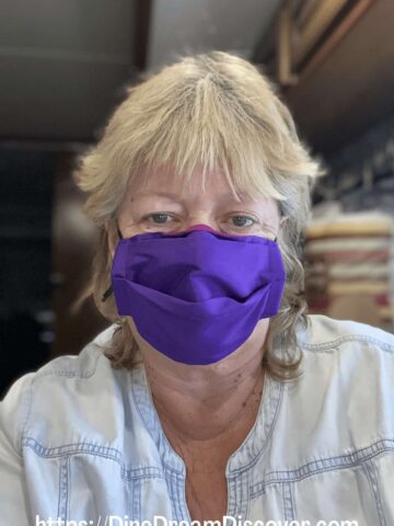 reversible masks