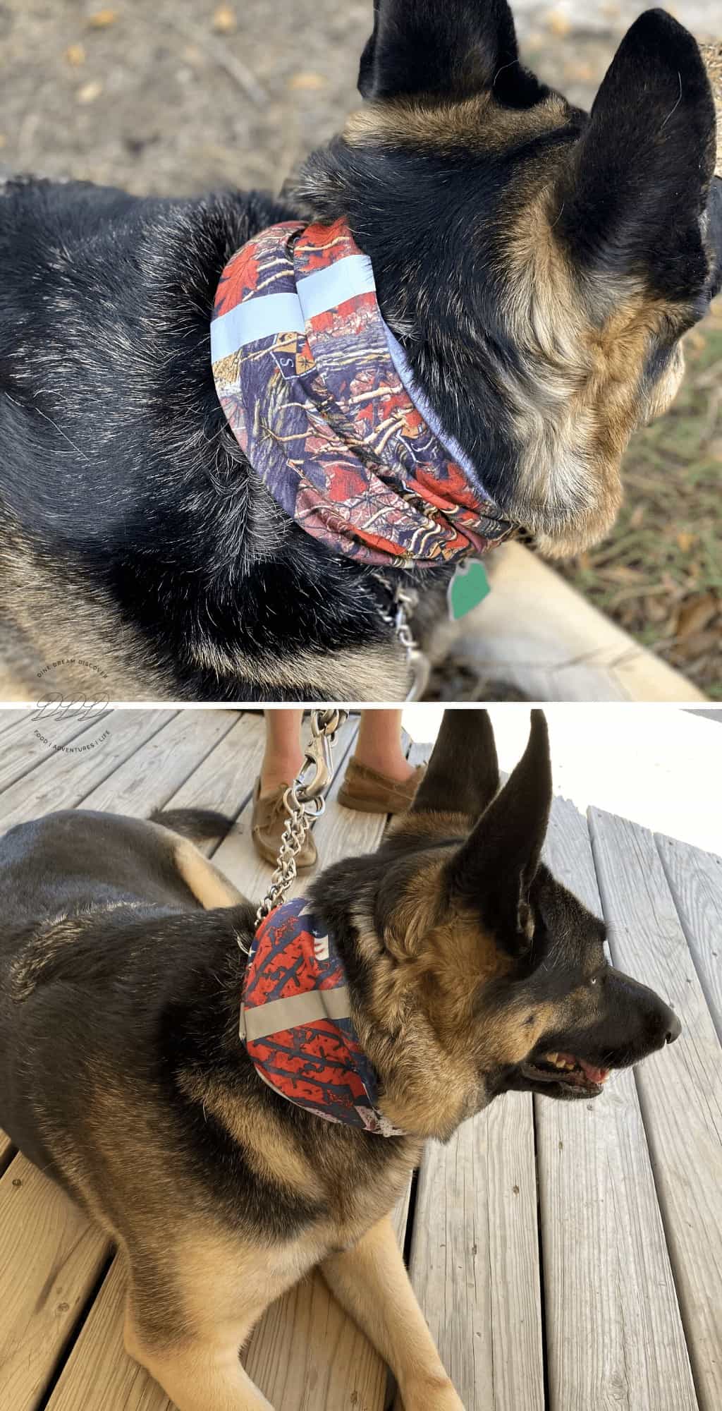 dog bandanas