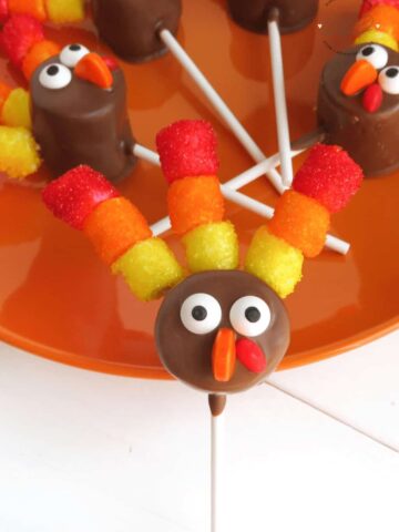 Marshmallow Pops