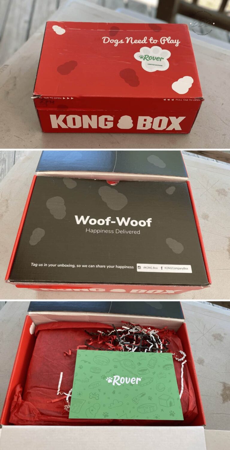 Celebrating Harleys Birthday with Rover KONG ® Box Dine Dream Discover