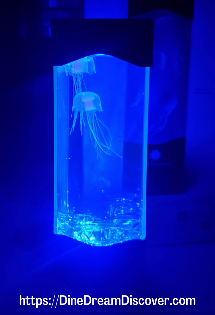 Smithsonian Jellyfish Aquarium Science Kit Dine Dream Discover