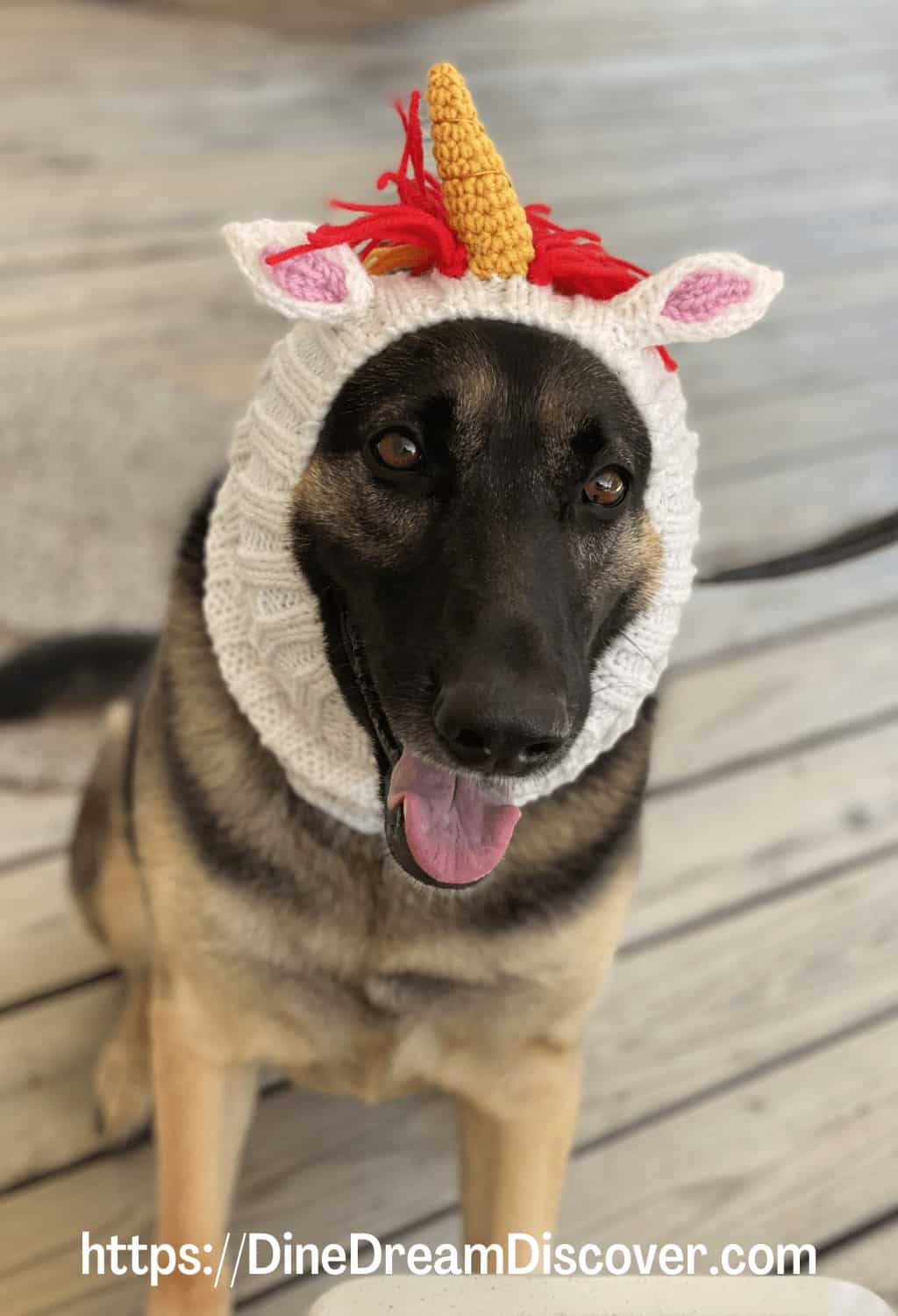 unicorn dog snood