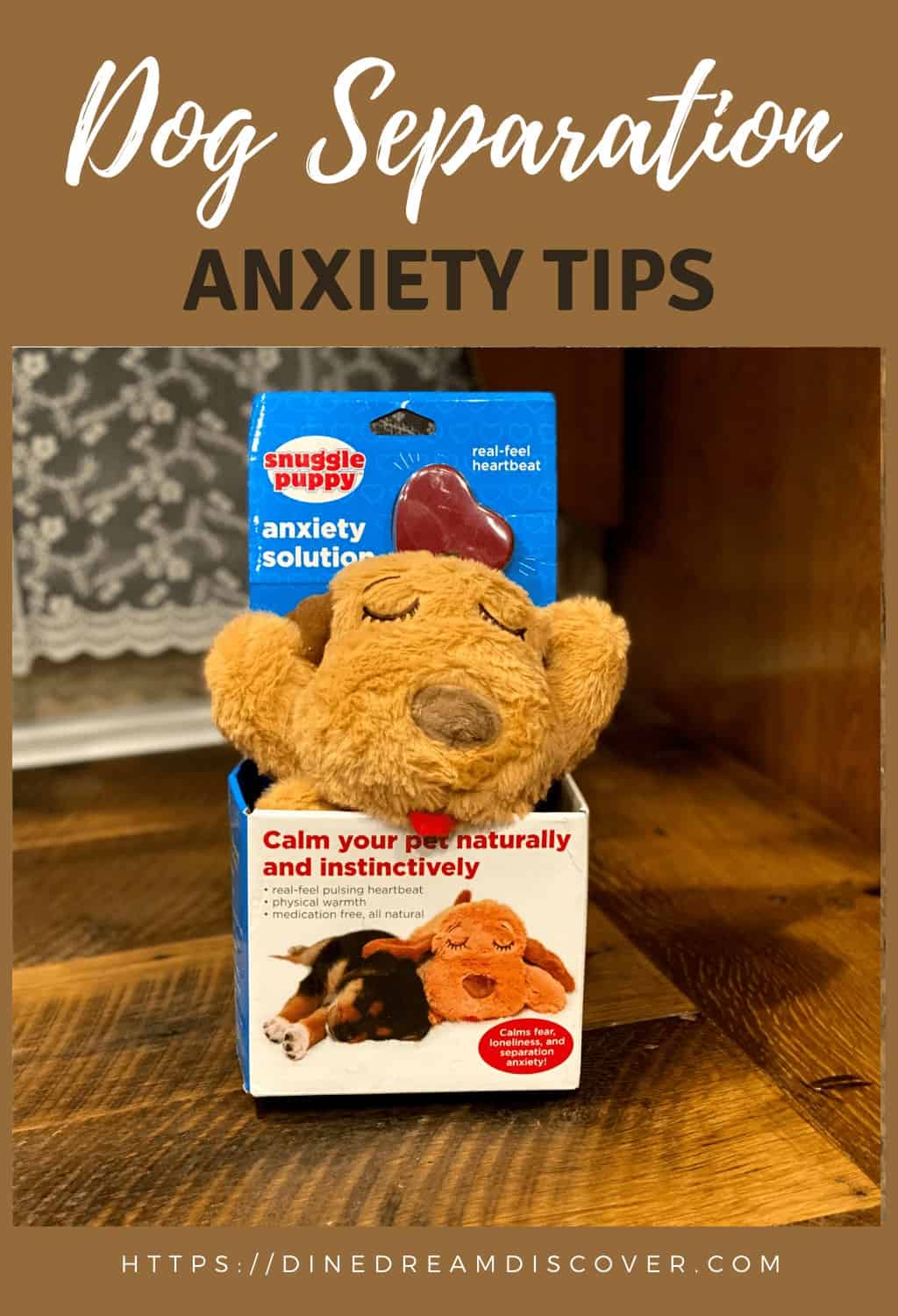 dog anxiety medicine