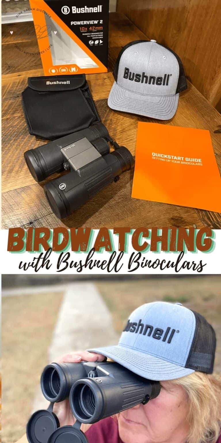Birdwatching with Bushnell Binoculars Dine Dream Discover