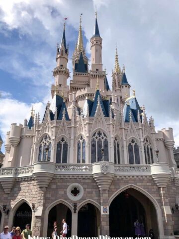 Disney World Tips