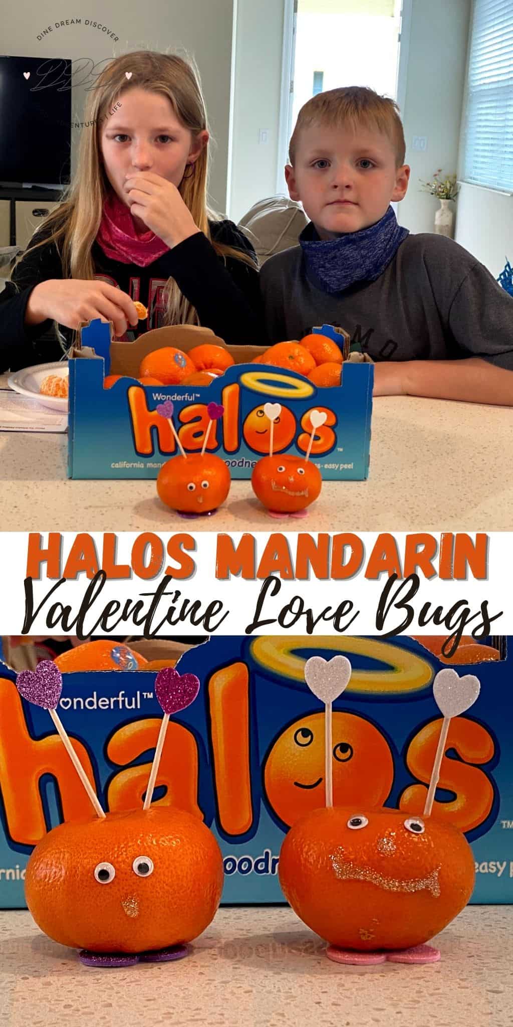 Halos Valentine Love Bugs