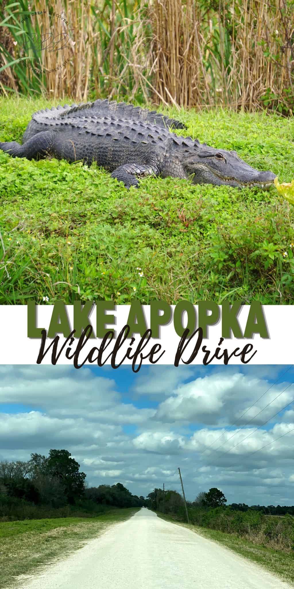 Lake Apopka Wildlife Drive