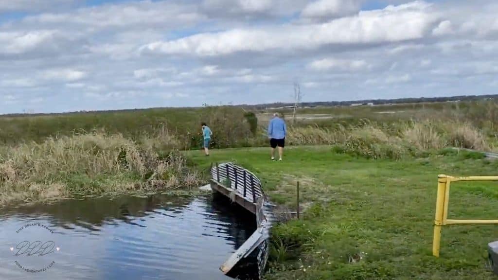 man and child crossing over to where alligators are.