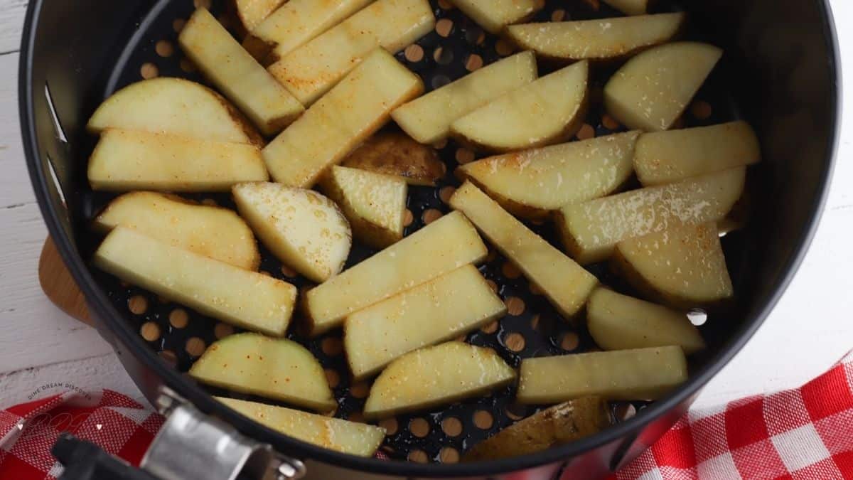 french fries in air fryer basket